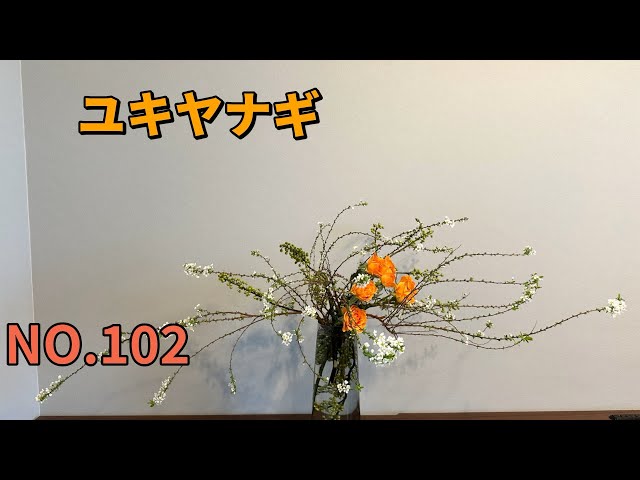 sddefault.jpg