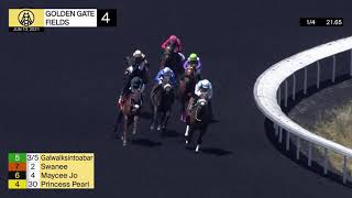 Vidéo de la course PMU CLAIMING