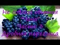 Не совсем обычная "Чача". Часть 3. Дробная перегонка.