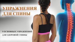 Упражнения для спины. 5 упражнений для спины! Упражнения для спины. 5 упражнений для спины!