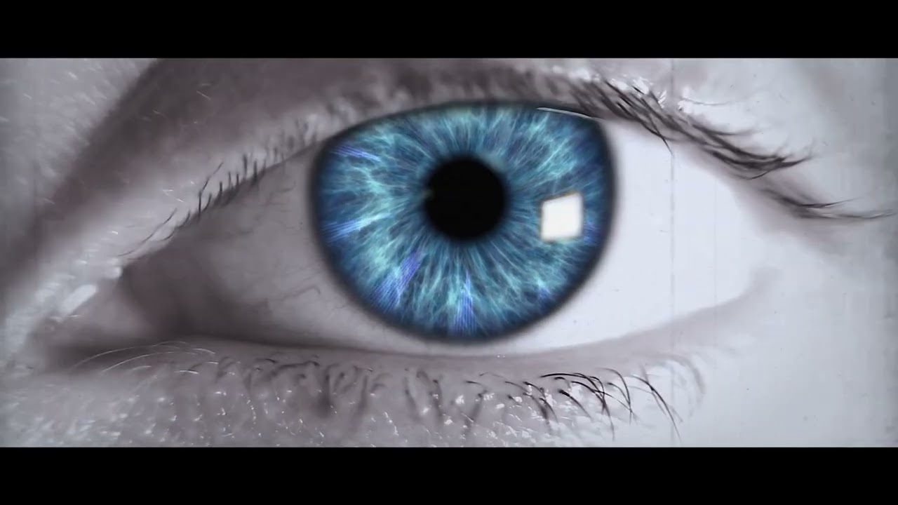 REDVLT - DON’T LEARN IT HERE