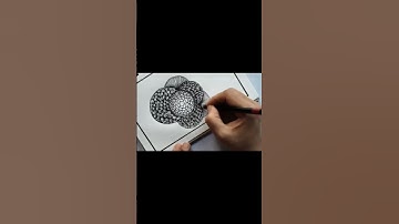 Zenatangle Pattern 🌸🌿 ll #shorts