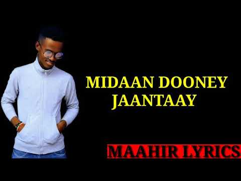 ZAMIIR ZAAM HEESTII SUUSAN