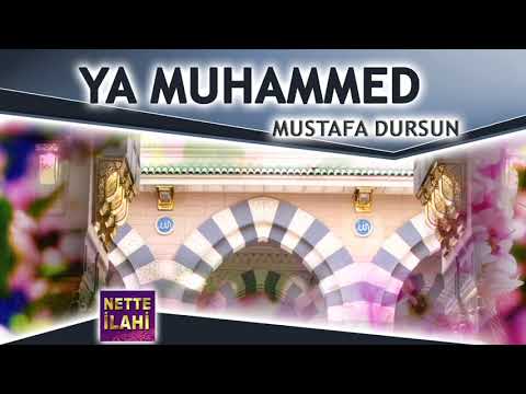 Ya Muhammed İlahisi I Mustafa Dursun I Nette İlahi