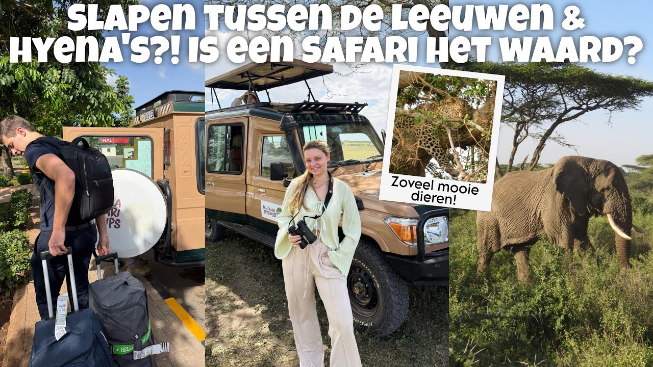 SLAPEN TUSSEN DE LEEUWEN & HYENA'S?! IS EEN SAFARI HET WAARD? SAFARI VLOG 2 | Joyce Rikken