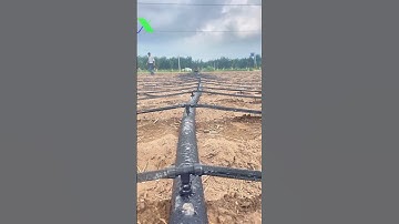 Dây tưới nhỏ giọt, Dây tưới phun mưa, Béc tưới xoay, Hệ thống tưới tự động Tháp Xanh