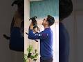 【衝撃】うちの犬がヤバい秘密を隠している㊙️🐕‍🦺 #外国人 #犬