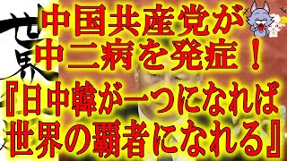 【中国の異常な主張「日中韓が一つになれば世界の覇者になれる」】世界最大の中二病患者である中国共産党。『世界の覇者』になりたいそうです(笑)ネトゲ中毒者なの？これが世界第2位の大国なんだからホント迷惑！