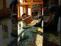 Luxury Epoxy Bedroom Floor | Slow Motion Cinematic Room Visit #crafts #craftyhome #interiordesign