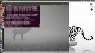 how to install y ppa Manager