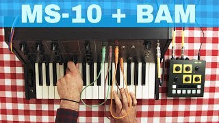 KORG MS-10 + OTO MACHINES BAM ~ Will They Pair Ep.26