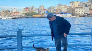 Eli̇f Koç_ Mın Jî Tê Hêzkır Le Gülê