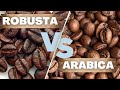 Arabica vs. Robusta: Unveiling the Unique Qualities of the Two Dominant Coffee Species