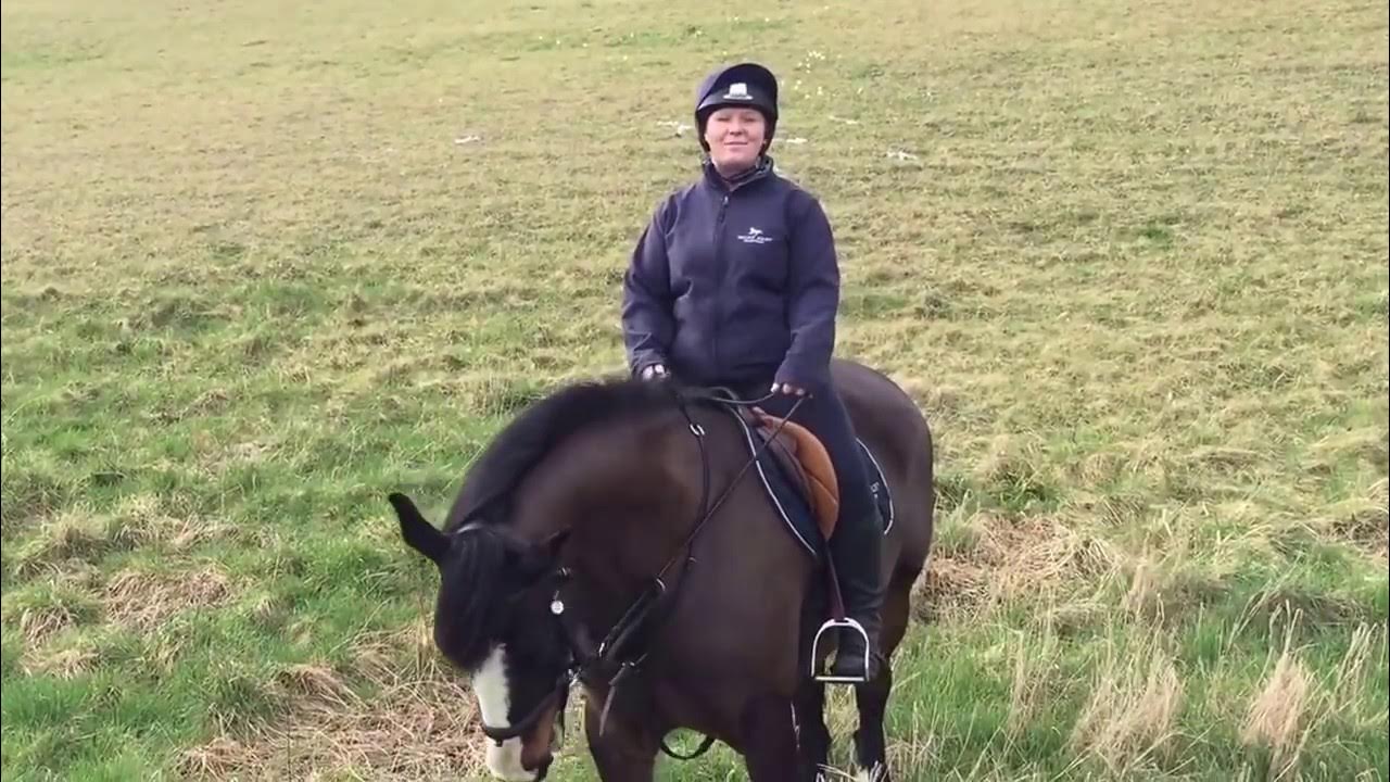 Mount Juliet Horse Riding, Ireland YouTube