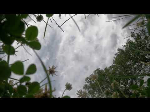 clouds
