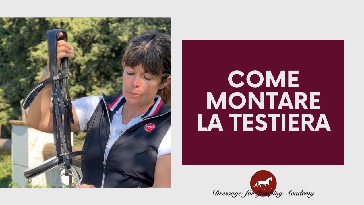 come smontare e rimontare la testiera del nostro cavallo 