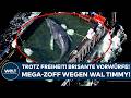 NORDSEE: Trotz Freiheit! Mega-Zoff wegen Wal Timmy! Brisante Vorwürfe gegen Besatzung des Schiffs!