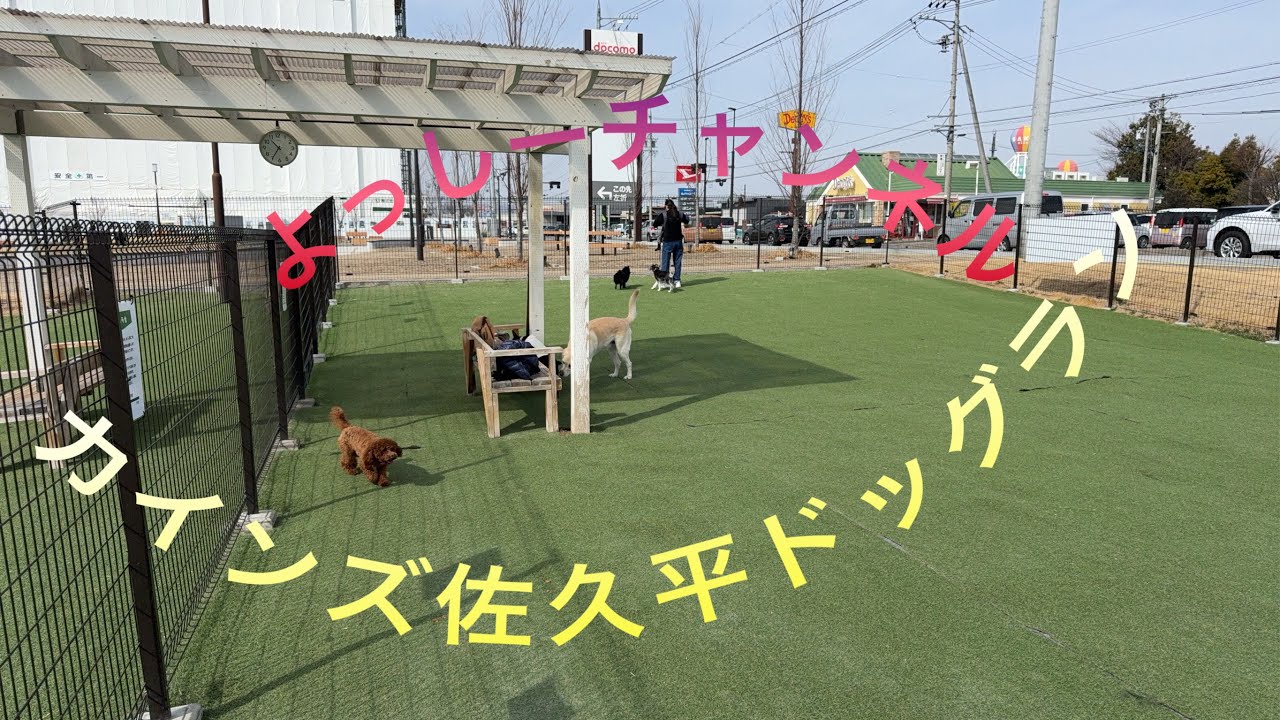 カインズ佐久平ドッグラン