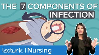 What Causes An Infection? Breaking The Chain Of Infection Lecturio Nursing Fundamentalstheory