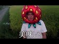「いちご味味 feat.鈴木ジェロニモ」MV