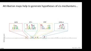 Kipoi Seminar - Peter Koo (CSHL)