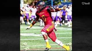 Donovan Smith 2015 Highlights (ACU WR #6)