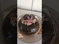 Oreo chocolate cake  oreo cake  khandelwal bakers 