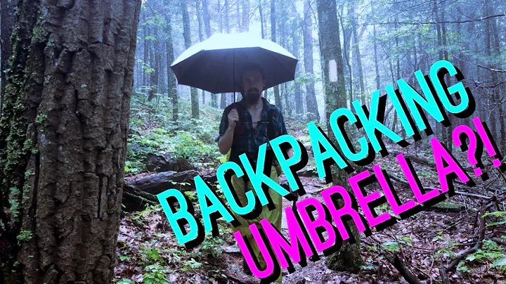 10 Reasons Why Backpacking Umbrellas Are Incredible (And A Few Reasons Why They Aren't) - DayDayNews