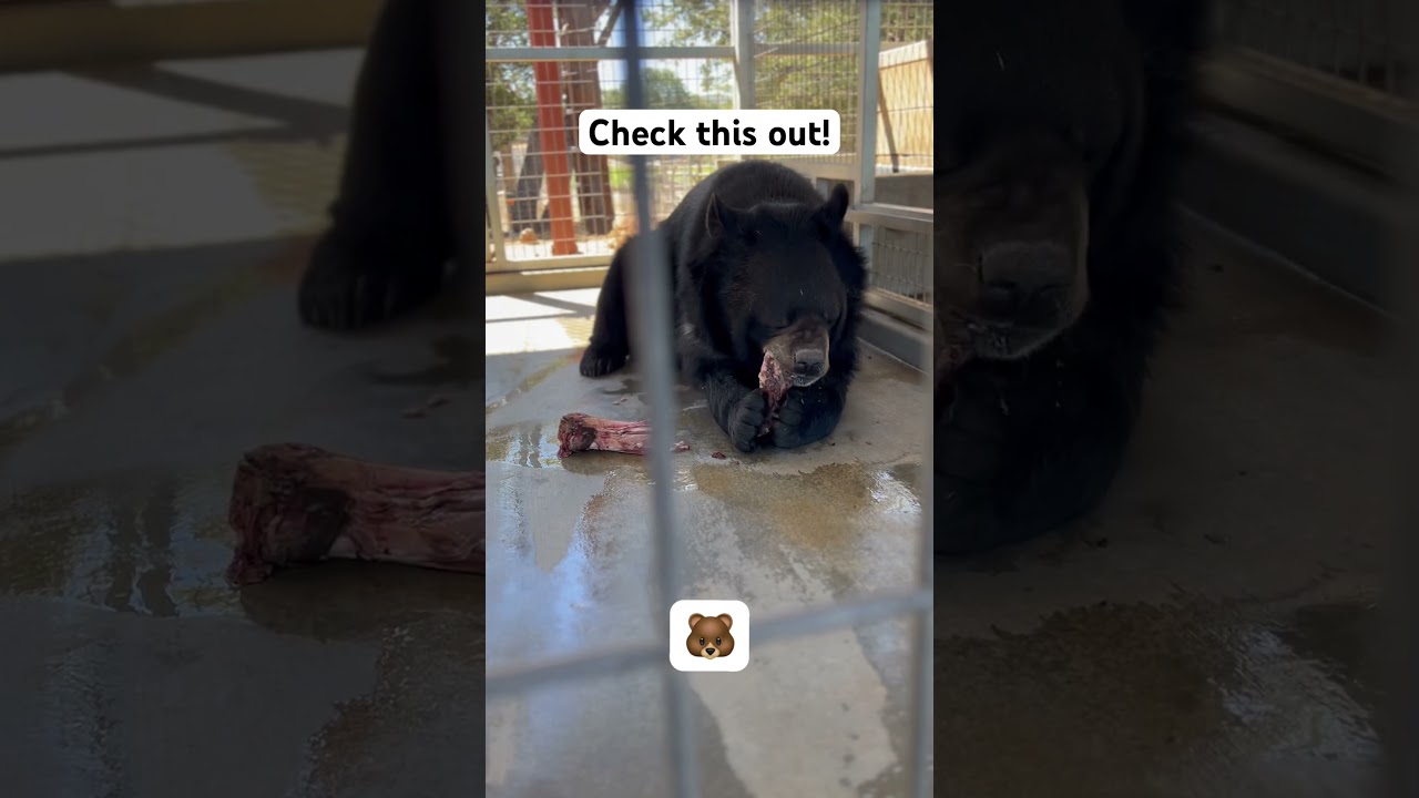 You can hear the power! 