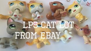 Lps Cat Lot From eBay • Rare Pets