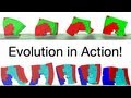 Unshackling evolution evolving soft robots with multiple materials