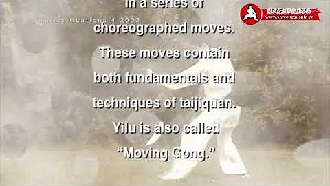 Stages Of Taiji Training 2002