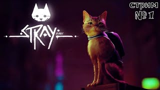 Stray # 1 ▶ Жил-был рыжий КОТ  ◀ СТРИМ