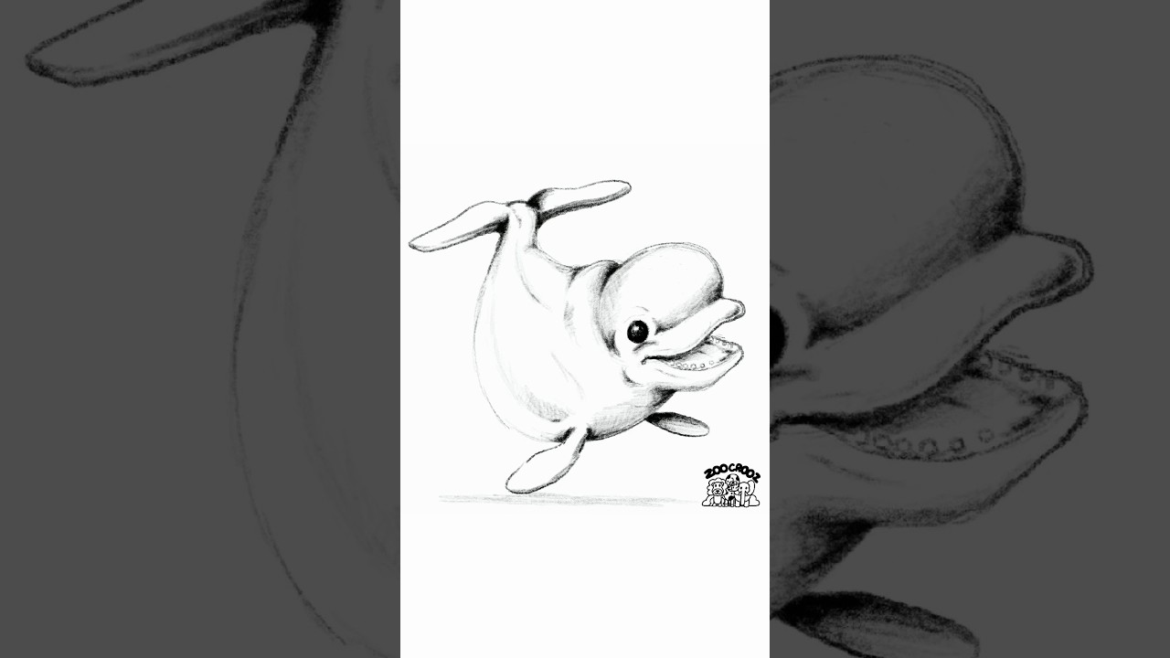 Drawing a beluga whale less than 12 seconds 