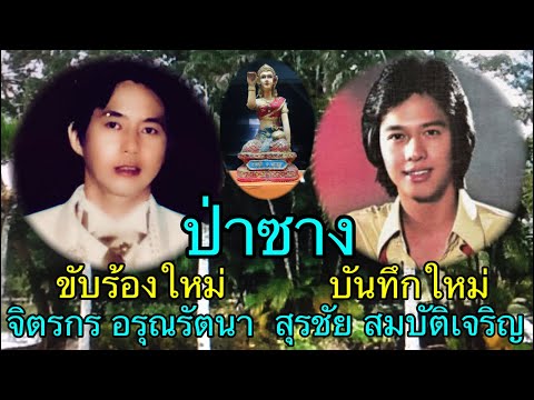 ป่าซาง สุรชัย สมบัติเจริญ ลูกทุ่งแนวใหม่ เงาเสียงลูกทุ่ง เพลงเก่าร้องใหม่ cover จิตรกร อรุณรัตนา