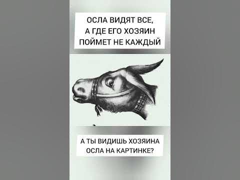Где хозяин осла? - YouTube