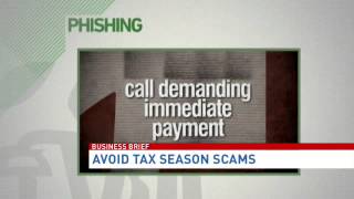 Avoid tax season scams