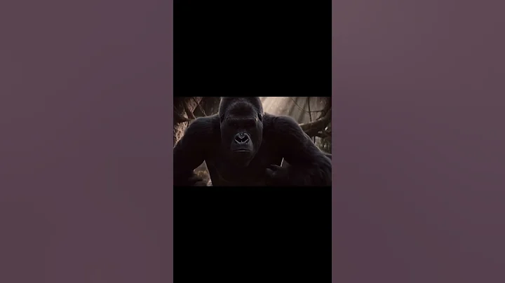 James’ Wild Adventure | Sora 2 Pro Cinematic Trailer (Releasing Oct 24, 2025)