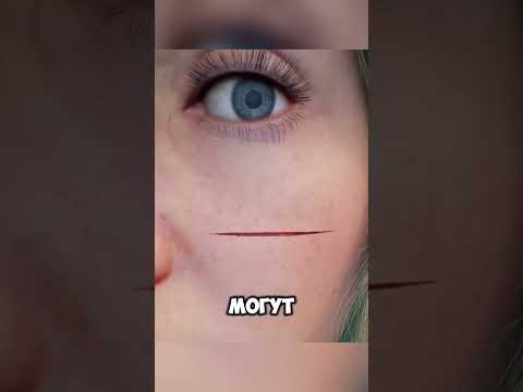 Что будет если никогда не стричь ногти? @zackdfilms