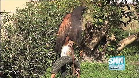 SNN: Bradenton Resident Participates In Python Challenge