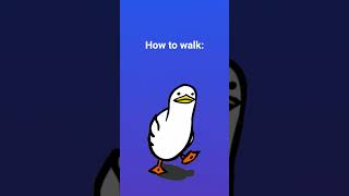 how to walk for 1 year olds