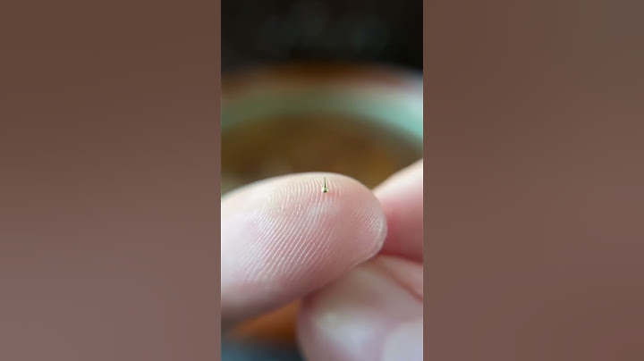 Smallest spinning top in the world! #mini #miniature #unboxing #guinessrecords