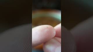 Smallest spinning top in the world! #mini #miniature #unboxing #guinessrecords screenshot 3