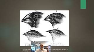 Dinosaur Lectures Video 1: Philosophy of science and the basics screenshot 4