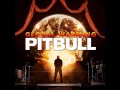 Party Ain't Over Pitbull (feat. Usher & Afrojack)