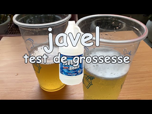 Introduce 44+ imagen test de grossesse maison javel - fr.thptnganamst