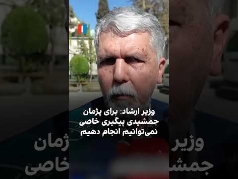 وزیر ارشاد برای پژمان جمشیدی پیگیری خاصی نمی توانیم انجام دهیم