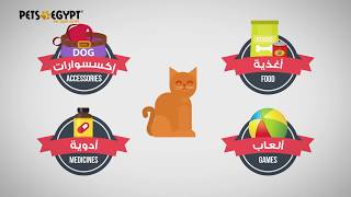 PetsEgypt.com Online Pet Store screenshot 4