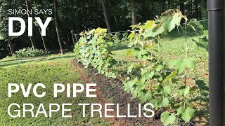 In this video, i will be making a grapevine trellis. planted these
grapevines last fall and now they are really taking off. need to build
trellis for t...