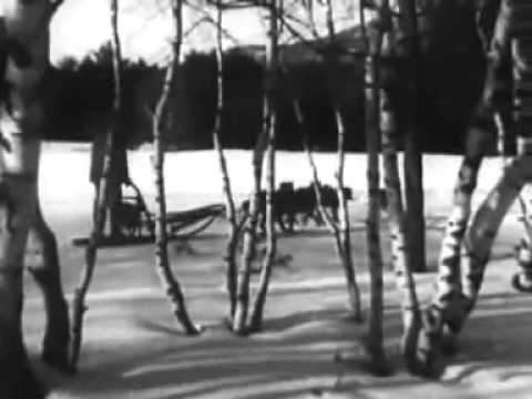 Phosphorescent - Wolves Lyrics SongMeanings